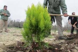 اجرای طرح بیابان زدایی در شرق اصفهان وبرخوار
