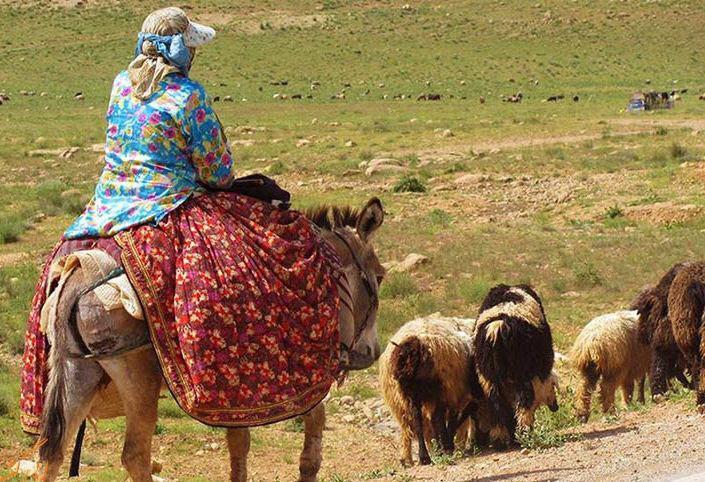 کوچ بهاره عشایر ایل قشقایی خنج کوچ بهاره عشایر ایل قشقایی خنج