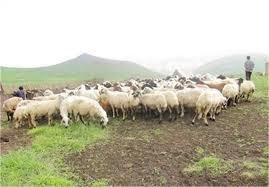 ظرفیتی بی نظیر برای توسعه البرز