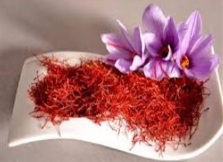 کشت طلای سرخ در گلوگاه