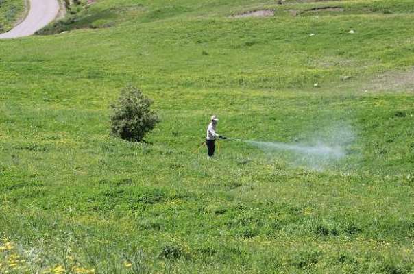 سمپاشی هوایی و زمینی ۲۸۰ هکتار از اراضی فارس