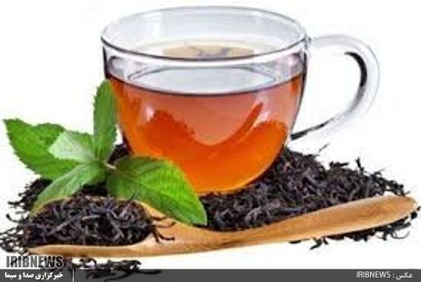 صنعت چای نیازمند محصولات نوین