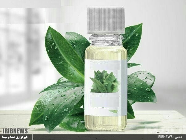 صنعت چای نیازمند محصولات نوین