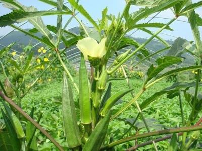 سهمی برای عشق سهمی برای عشق