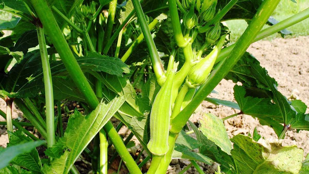 سهمی برای عشق سهمی برای عشق