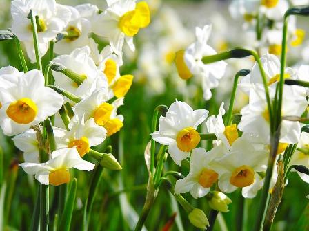 زیبای سودآور زیبای سودآور