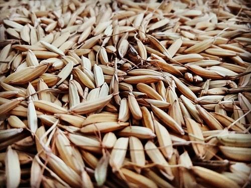 از رنج تا برنج از رنج تا برنج