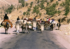 آغاز کوچ عشایر در اندیکا آغاز کوچ عشایر در اندیکا