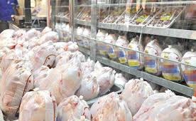 مرغ ها، گرسنه بی تدبیری