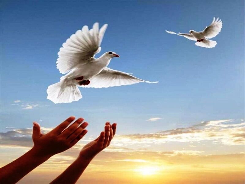بهارِ خوش یُمن( اطفا منتشر نشود) بهارِ خوش یُمن( اطفا منتشر نشود)