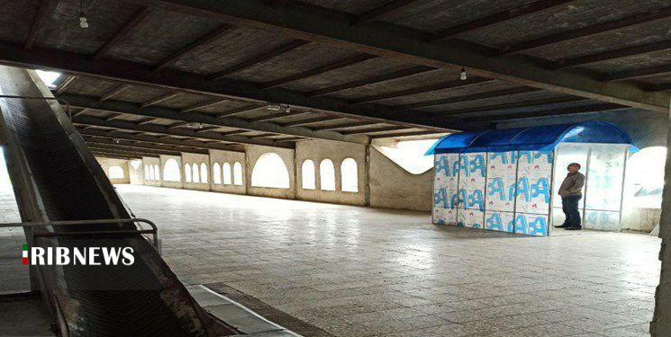 جوانه زدن ایدهها زیر چتر شوم کرونا. جوانه زدن ایدهها زیر چتر شوم کرونا.