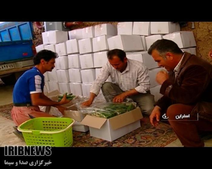 گلخانه؛ مهاجرت معکوس