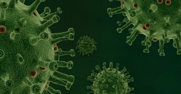 سرما بخورید تا کووید-۱۹ نگیرید! سرما بخورید تا کووید-۱۹ نگیرید!