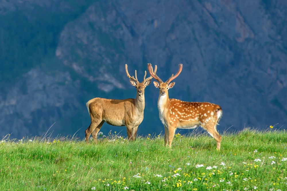 ۱۶ عکس بی&zwnj;نظیر از طبیعت