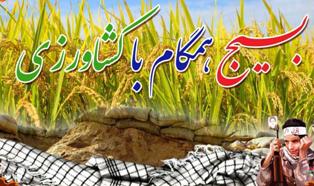بکارگیری ۳۰ فارغ التحصیل کشاورزی در میاندورود بکارگیری ۳۰ فارغ التحصیل کشاورزی در میاندورود
