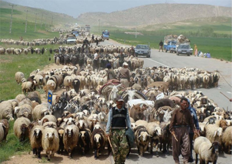 کوچ عشایر در مسیر بحران کرونا