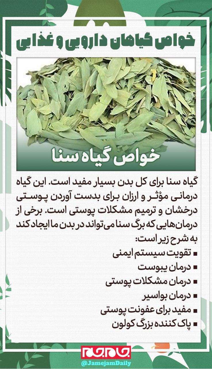 خواص گیاه &laquo;سنا&raquo; چیست؟