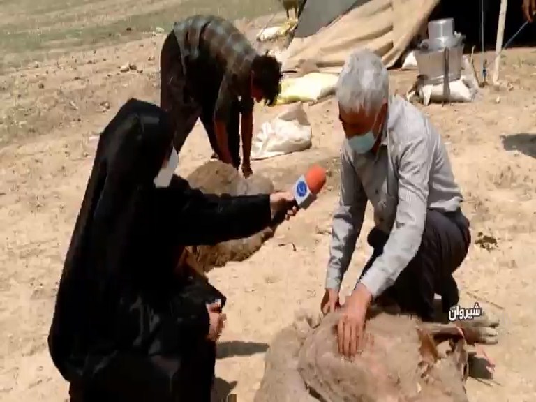 پشم چینی