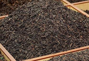 گزارش مکتوب؛ چای ایرانی در تکاپوی یافتن راه خانه ایرانیان