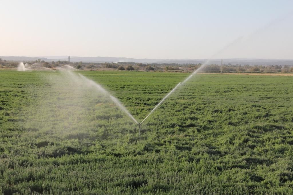 اجرای ۶٠٠ هکتار سیستم نوین آبیاری در شهرستان خاش اجرای ۶٠٠ هکتار سیستم نوین آبیاری در شهرستان خاش
