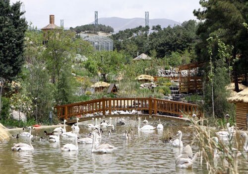 باغی برای پرندگان