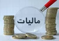 میرتاج الدینی: بر مالیات‌گیری از مشاغل خاص جهت افزایش سهم مالیات در تامین بودجه تمرکز کنیم
