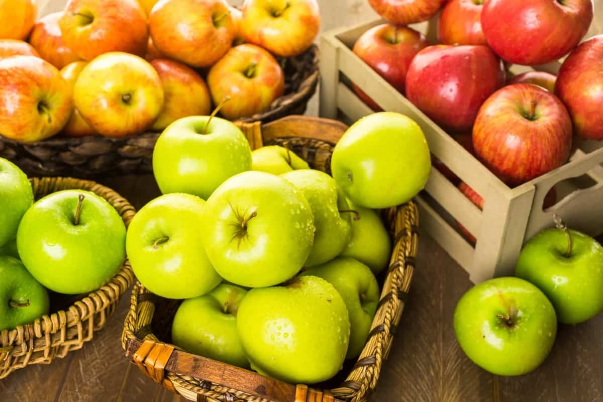 سیب و خواصی که برای تک تک اعضای بدن دارد سیب و خواصی که برای تک تک اعضای بدن دارد