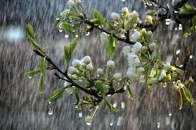 آغاز بارشهای رگباری در همدان از چهارشنبه آغاز بارشهای رگباری در همدان از چهارشنبه