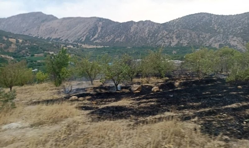 مهار آتش سوزی جنگلها و مراتع دنا مهار آتش سوزی جنگلها و مراتع دنا
