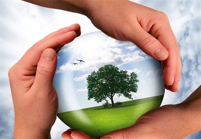 ۸۱ اقدام برای نجات محیط زیست