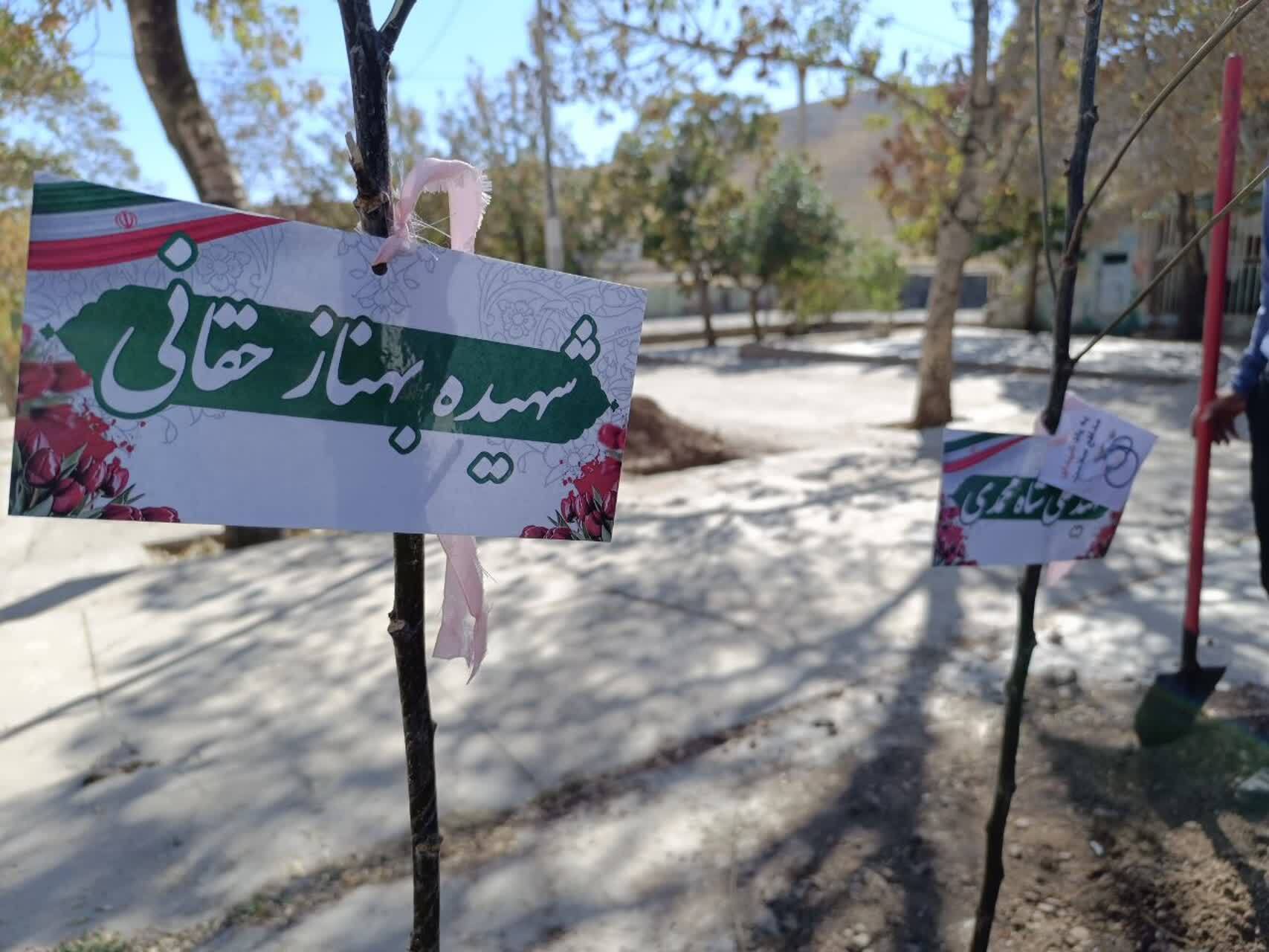 پویش مردمی مبارزه با آفت لورانتوس در بادامستانهای دیم پویش مردمی مبارزه با آفت لورانتوس در بادامستانهای دیم
