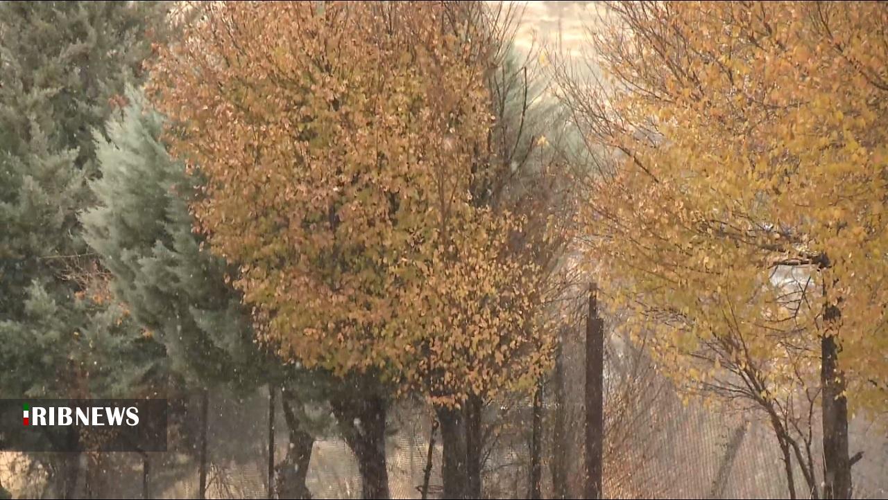 بارش باران روحبخش پاییزی در کردستان بارش باران روحبخش پاییزی در کردستان