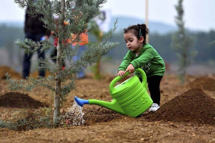 کاشت ۵ هزار اصله نهال در لرستان کاشت ۵ هزار اصله نهال در لرستان