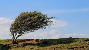 وزش باد شدید در همدان
