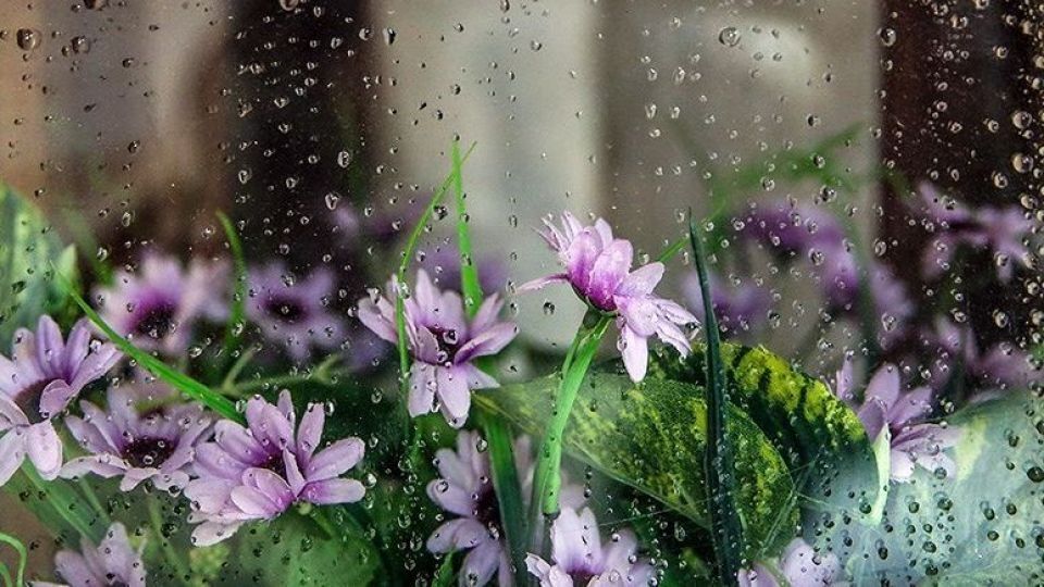 ادامه رگبارهای بهاری و احتمال بارش تگرگ در زنجان ادامه رگبارهای بهاری و احتمال بارش تگرگ در زنجان
