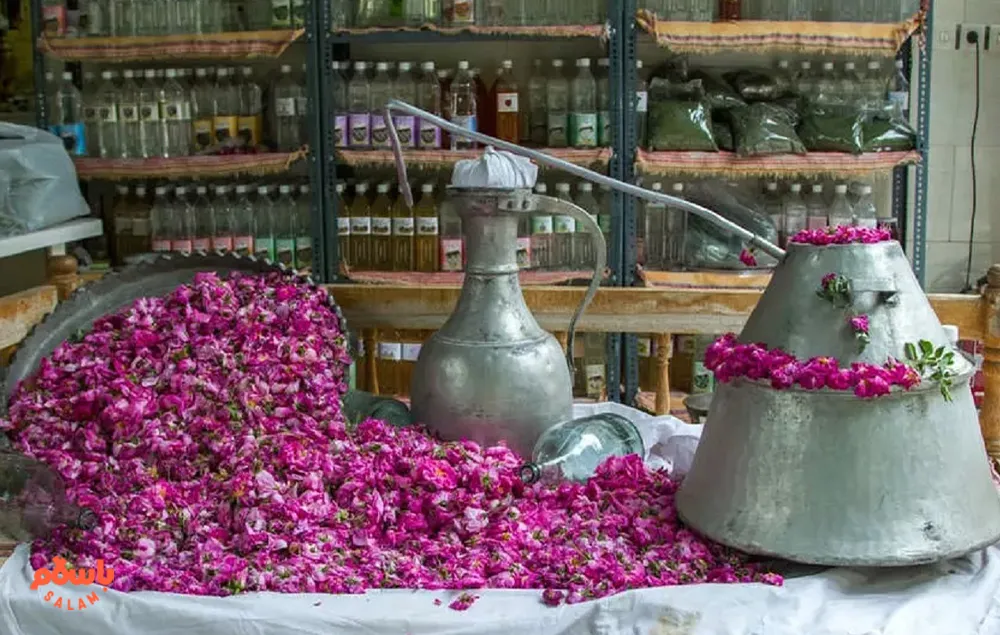 ایران؛ پیشگام جهانی در تولید گل‌محمدی و پیش‌بینی رونق صادرات «طلای مایع»