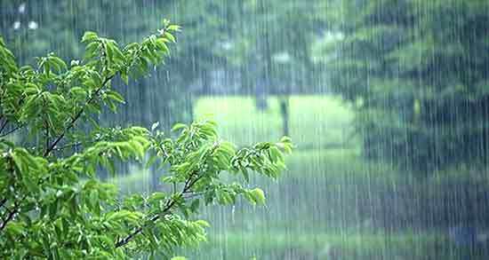 رگبارهای بهاری در آذربایجان غربی ادامه دارد