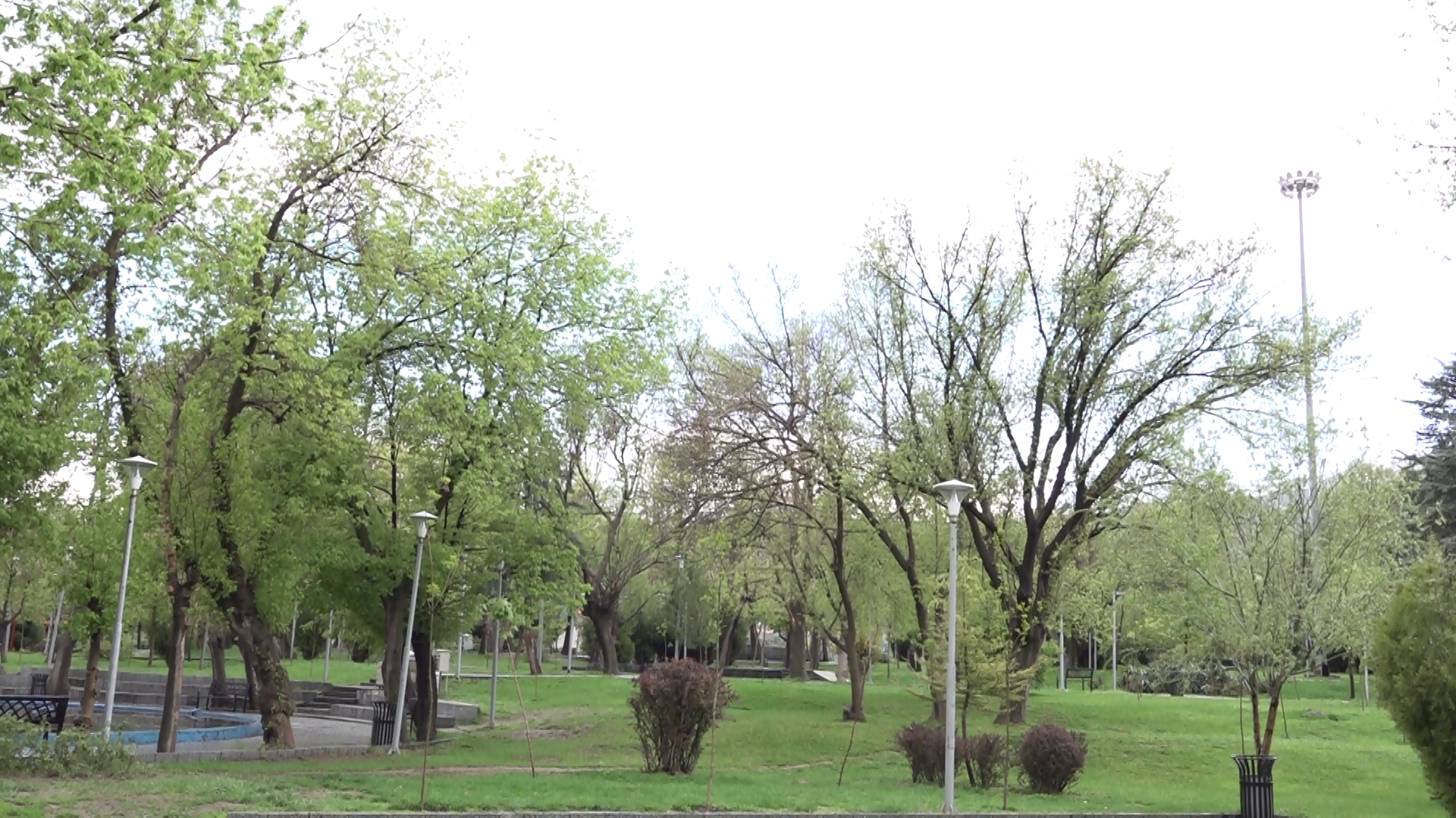 طبیعت بهاری همدان