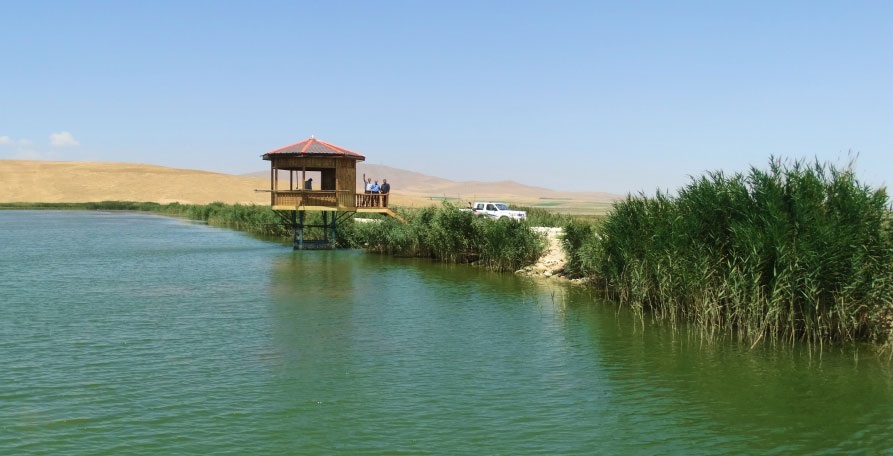 تالاب سولدوز نقده در آذربایجان غربی پس از ۱۵ سال سرریز شد تالاب سولدوز نقده در آذربایجان غربی پس از ۱۵ سال سرریز شد