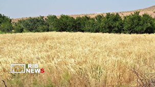 روایتی تصویری از آرامش؛ جایی میان کوه، دشت و آسمان