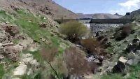 گلایه شهروندان از تردد موتورسیکلت‌ها و سگ‌گردانی در دره گردو اراک