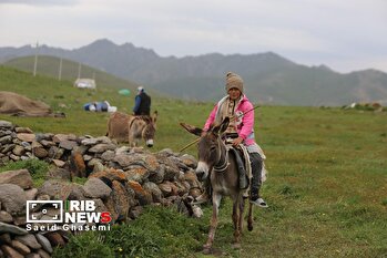 آغاز کوچ عشایر قره داغ دشت مغان در بهار ۱۴۰۵