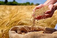 جشن خرمن در نیشابور