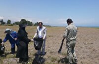 پاکسازی بخشی از ساحل شهرستان رضوانشهر با مشارکت مردم و مسئولان