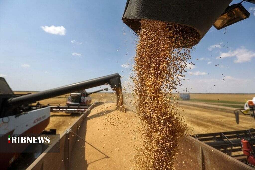 خرید تضمینی گندم در خراسان شمالی از مرز هشت هزار تن گذشت