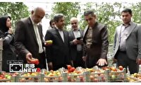 ویژه برنامه‌های هفته جهادکشاورزی در کردستان