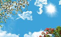 جو پایدار در استان قزوین؛ افزایش تدریجی دما 