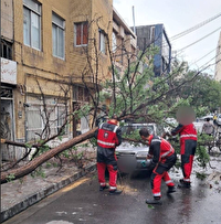 آبگرفتگی‌ معابر، شکستگی درختان و قطع موقتی برق در برخی نقاط مشهد