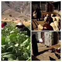 دره‌شهر، روستای آزمایشی اجرای طرح زنان نوآور روستایی