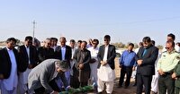 کلنگ‌زنی ۳۶ کلاس درس جدید در مناطق جنوبی سیستان و بلوچستان
